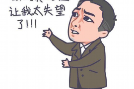 凉山企业清欠服务